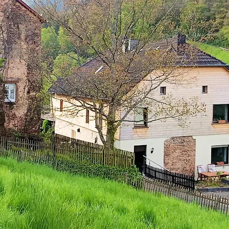 Haus Am Burgring Apartamento Mürlenbach